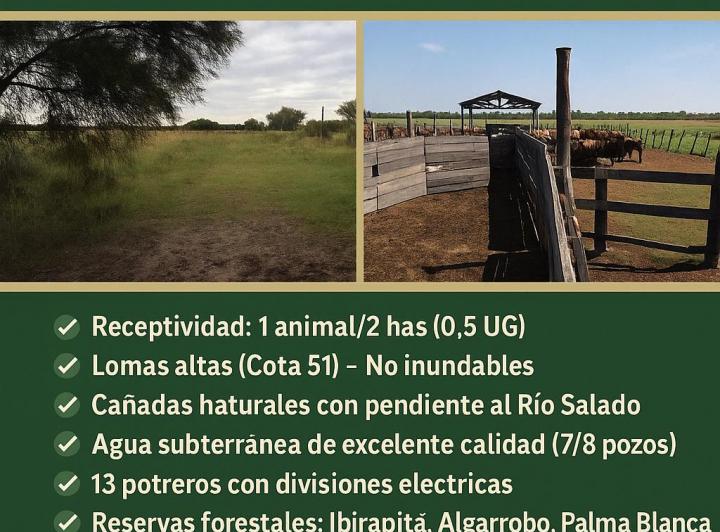 Campo · 10000ha · 3 Ambientes