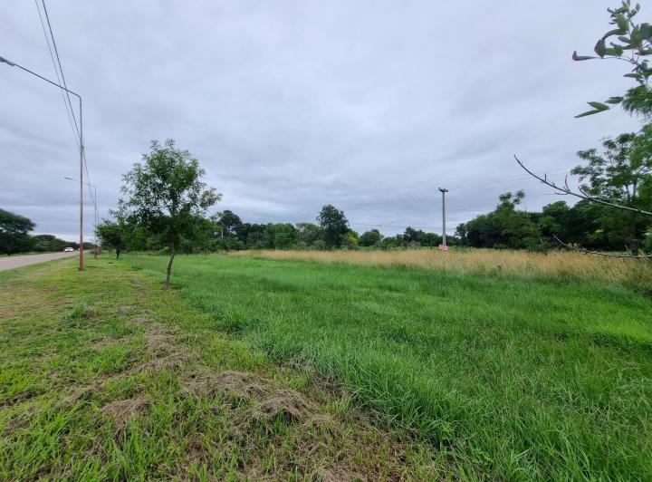Terreno · 3984m²