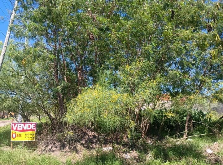 Terreno · 250m²