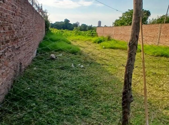 Terreno · 300m²