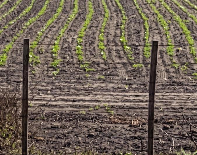 Campo · 300ha · 3 Ambientes