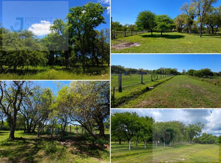 Terreno · 1000m²