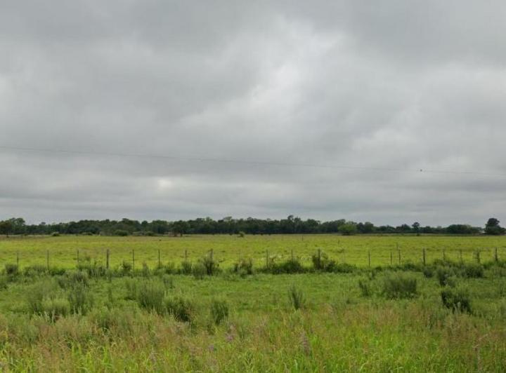 Campo · 970000m²