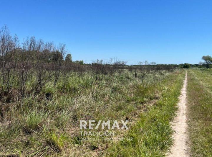 Terreno · 30000m²