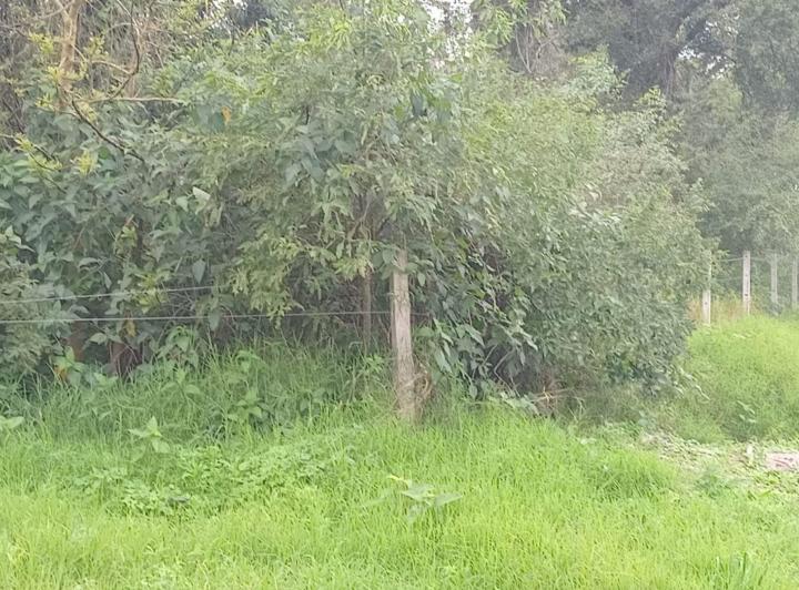 Terreno · 10000m²