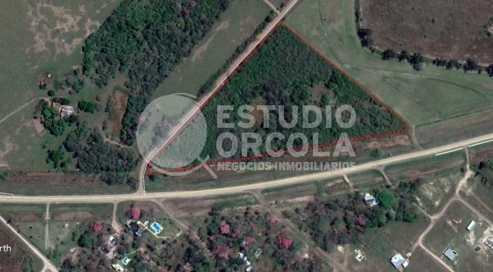 Terreno · 40000m²
