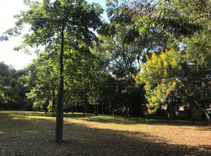 Terreno · 10000m²
