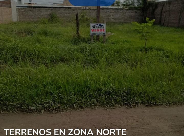 Terreno