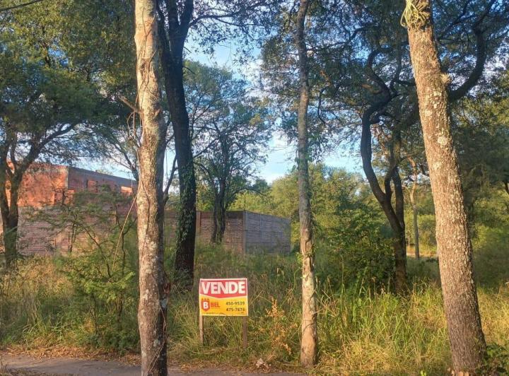 Terreno · 300m²