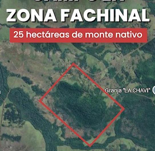 Terreno · 50ha