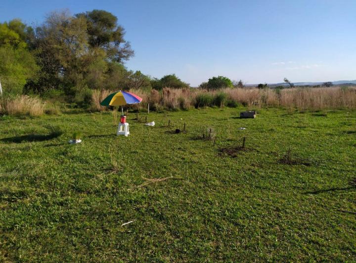 Terreno · 60m²