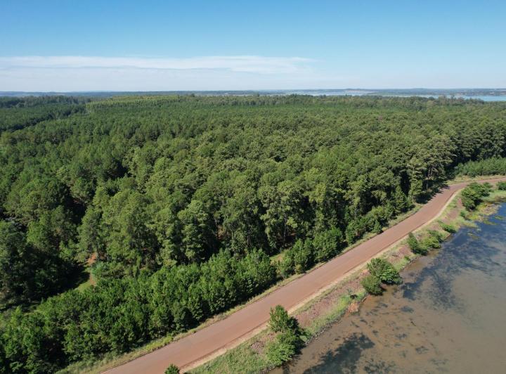 Campo · 41000m²