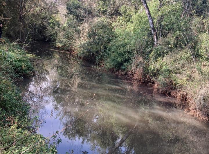 Terreno · 200000ha