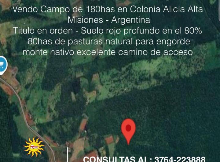 Campo · 80ha