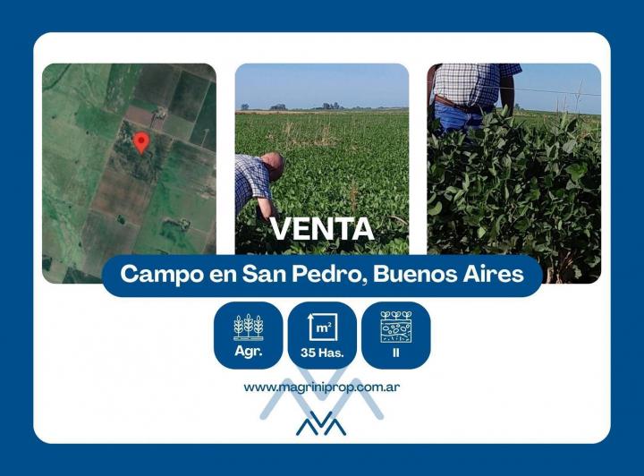 Campo · 35ha