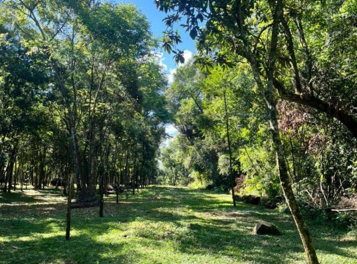 Terreno · 1102m²