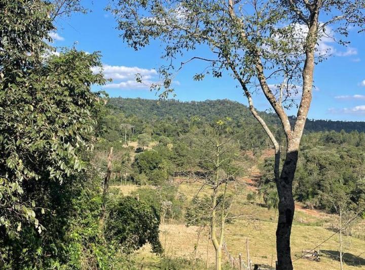 Campo · 540000ha · 5 Ambientes