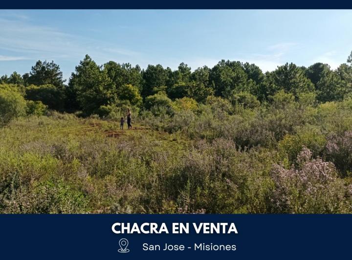 Terreno · 25ha