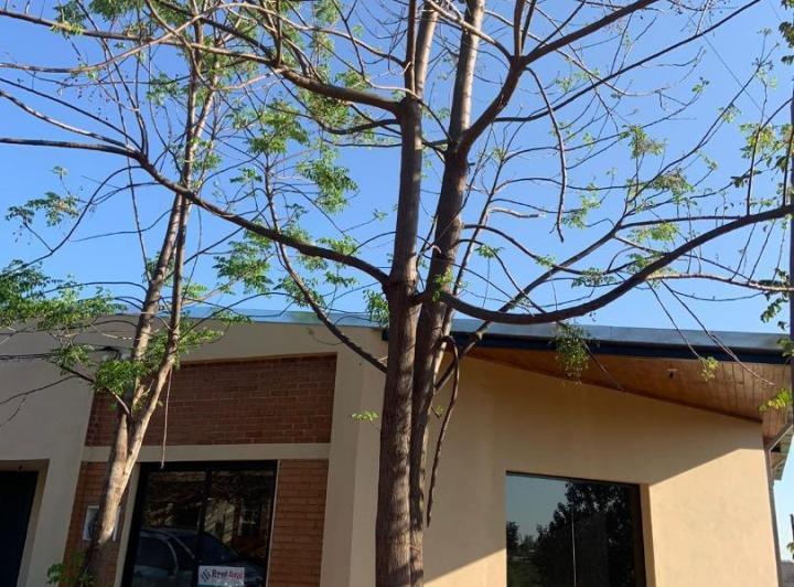 Local comercial · 117m² · 1 Ambiente