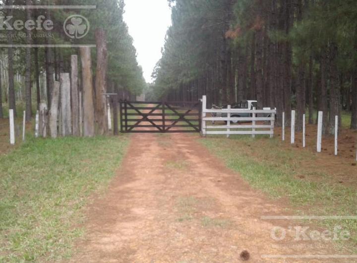 Campo · 2147483647m² · 5 Ambientes