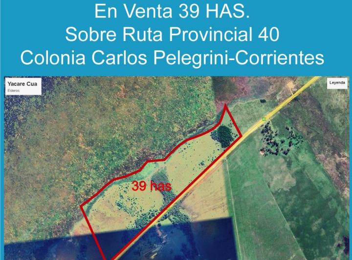 Campo · 1ha