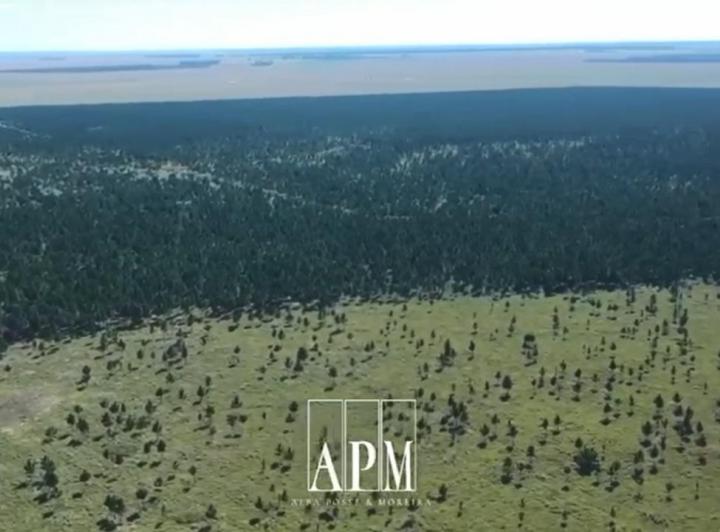 Campo · 433m²