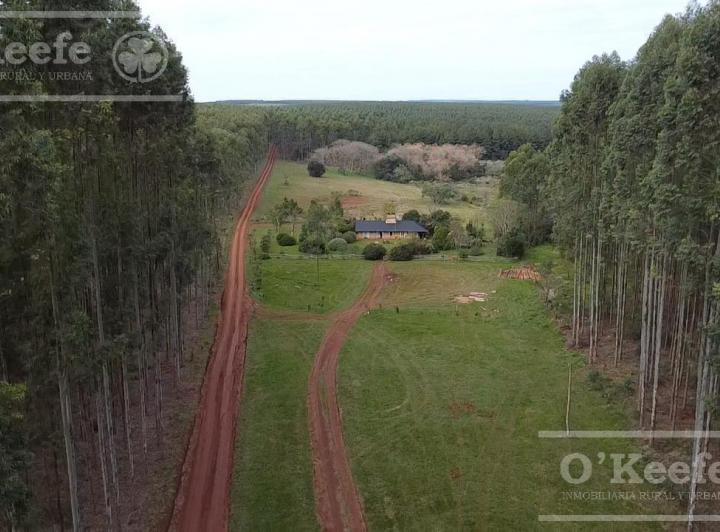 Campo · 5610000m² · 5 Ambientes