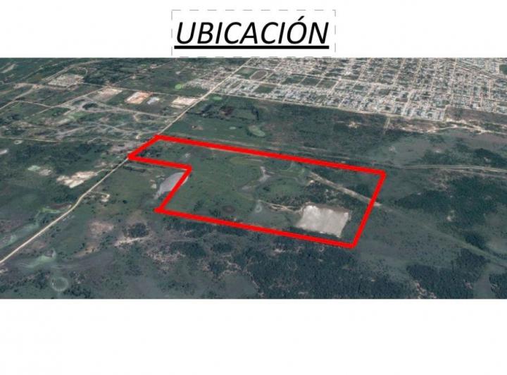 Campo · 55ha