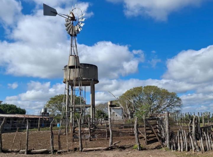 Campo · 46000000ha