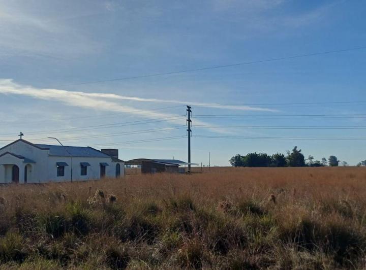 Campo · 4ha