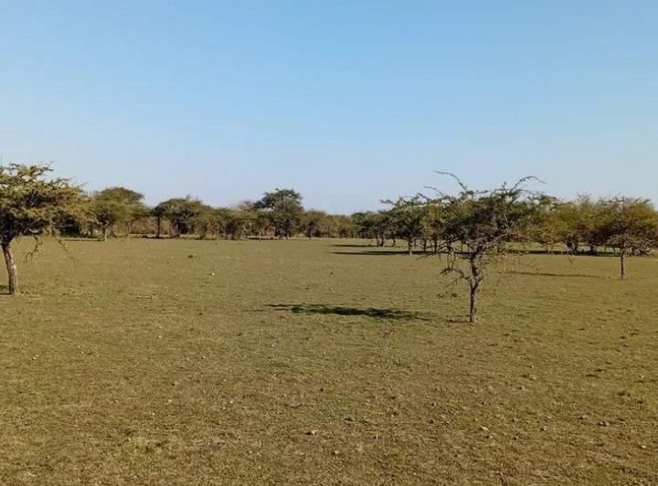 Terreno · 10000m²