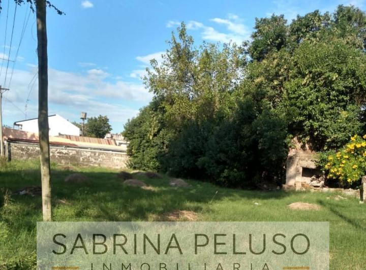 Terreno · 387m²