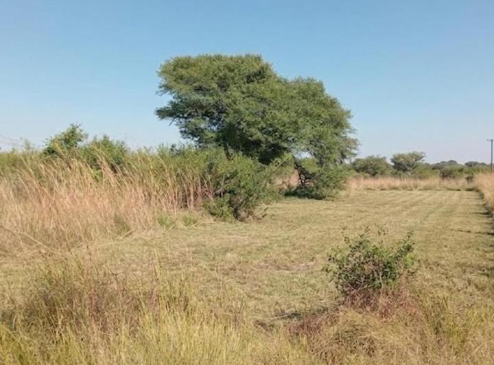 Terreno · 1000m²
