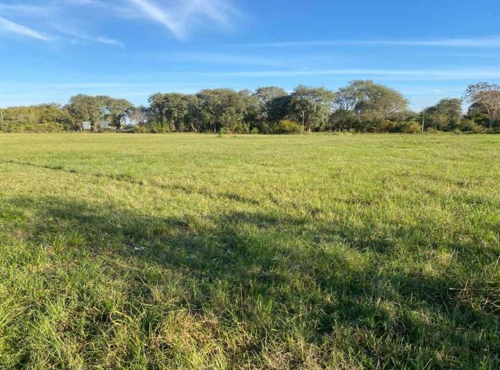 Terreno · 980m²