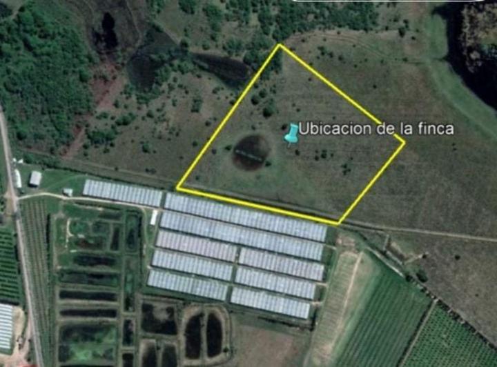 Campo · 7ha