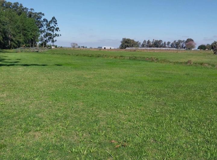 Terreno · 1000m²