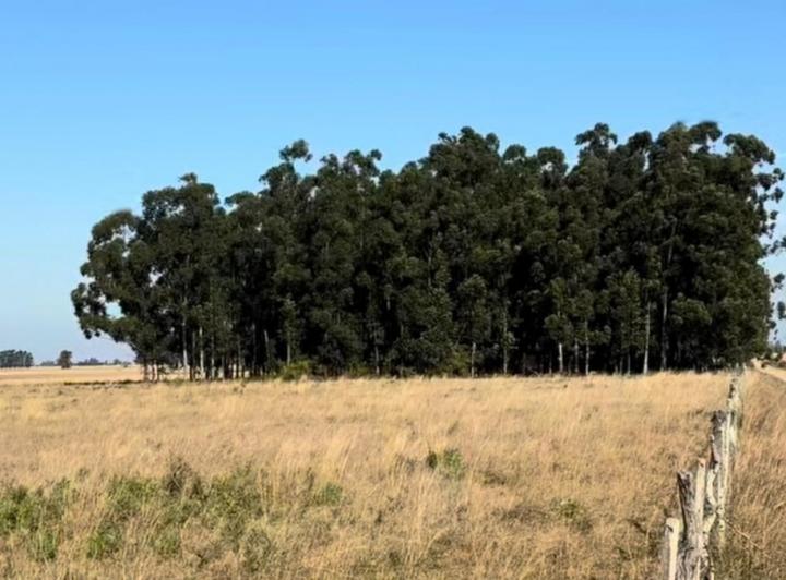 Terreno · 8000m²