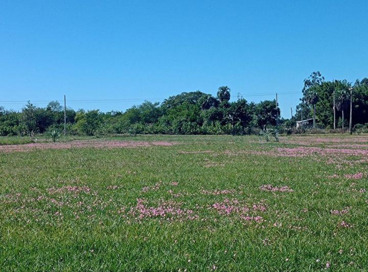 Terreno · 1000m²