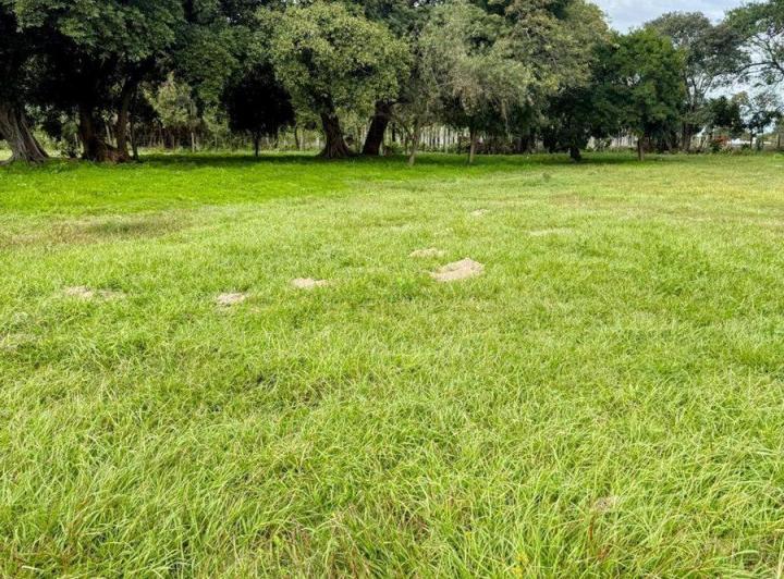 Terreno · 1000m²