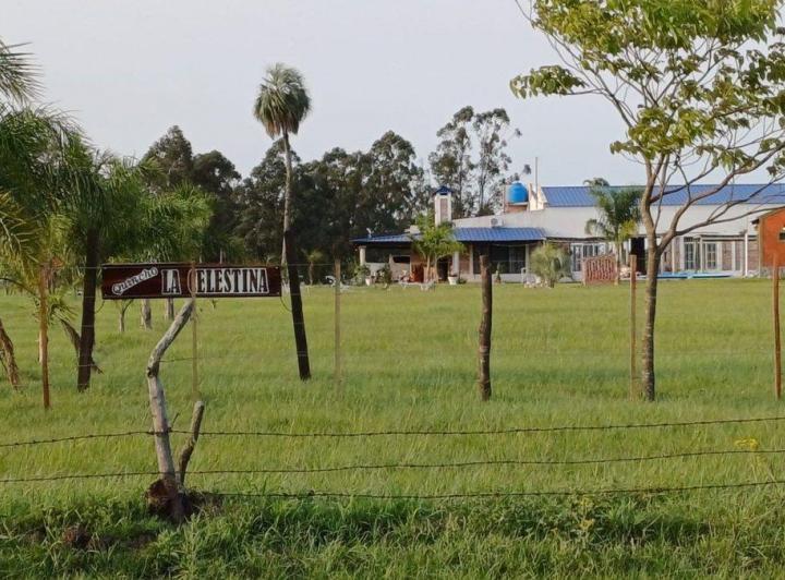 Terreno · 1399m²