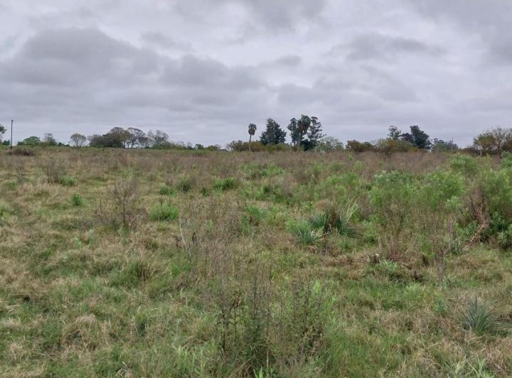Terreno · 40000m²