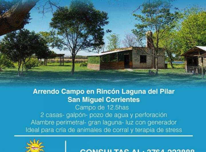 Campo · 12ha