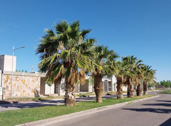 Terreno · 300m² · 1 Ambiente