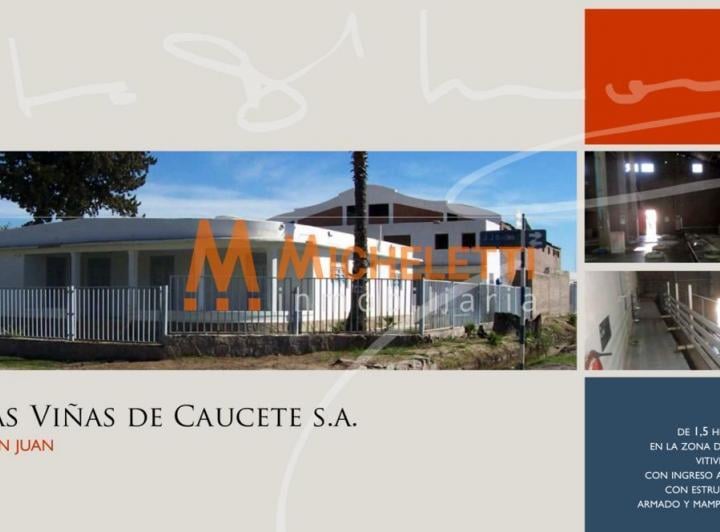 Bodega-Galpón · 15000ha