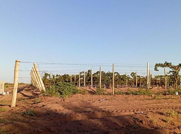 Quinta vacacional · 4000000m²