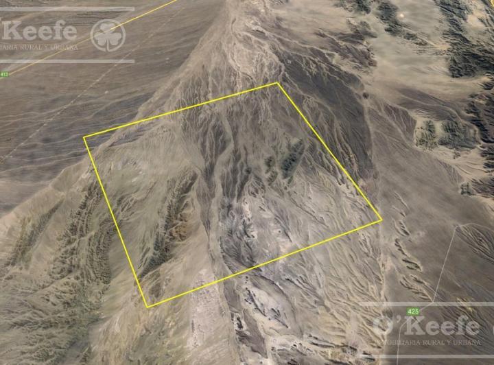 Campo · 100480000ha