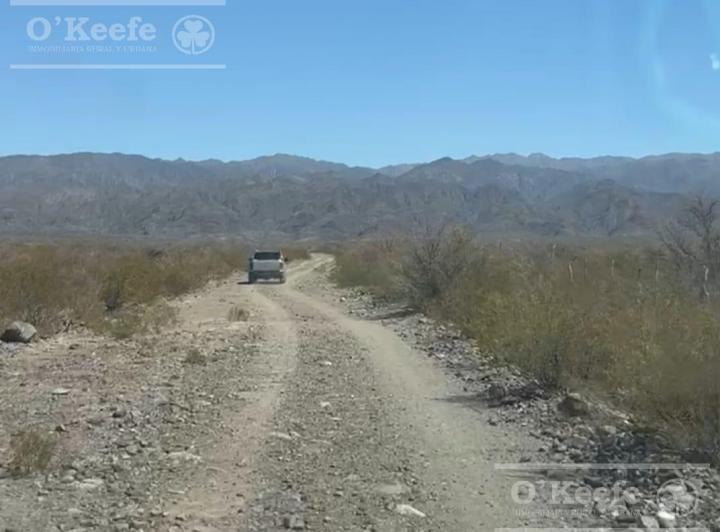 Campo · 143850000ha