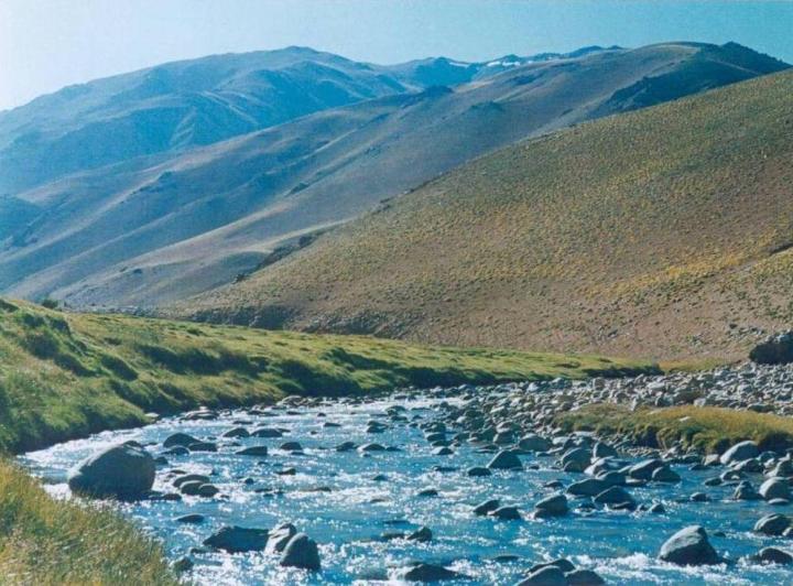 Campo · 203000ha