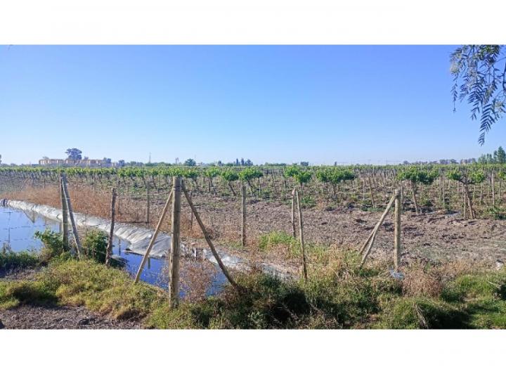 Terreno · 50000m²