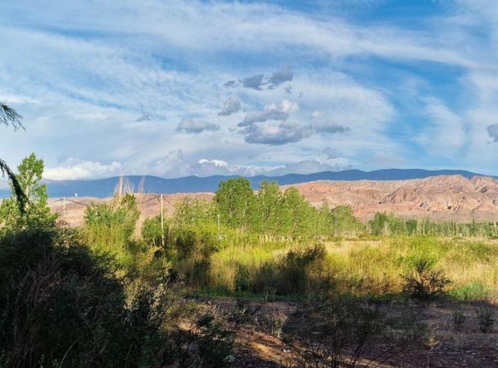 Terreno · 1800m²